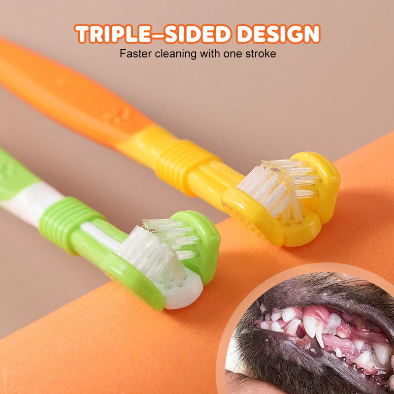 🐾 Brosse à dents pour animaux à poils doux – 3 faces (1 achetée = 1 offerte) - Image 5