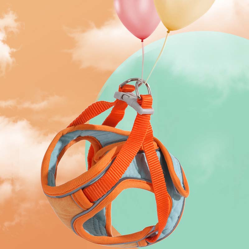 🐱 60% DE RÉDUCTION ! ✨ Harnais Réfléchissant Anti-Évasion pour Chat - Sécurité Nocturne avec Laisse Confortable et Ajustable 🌙🦺 - Image 8