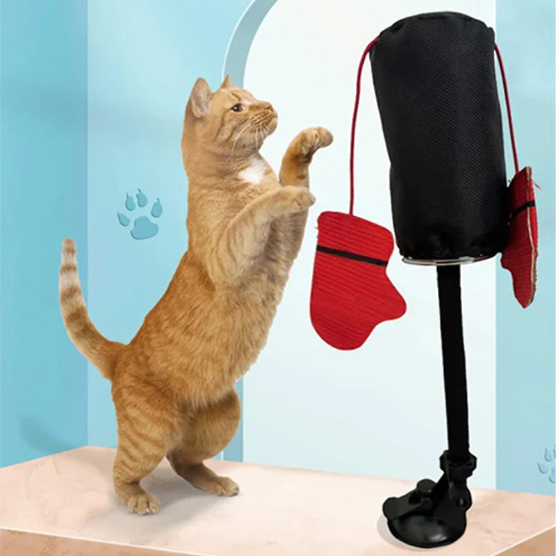 Jouet interactif pour chat : Sac de frappe😻🐾 - Image 4